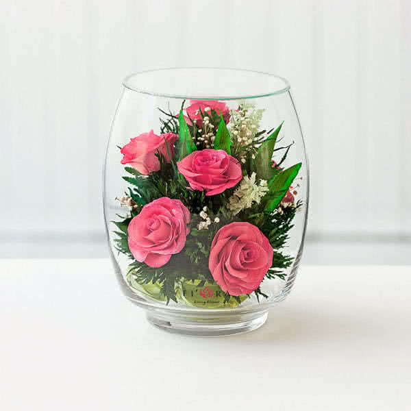 Ярко-розовые розы в среднем бутоне тюльпана