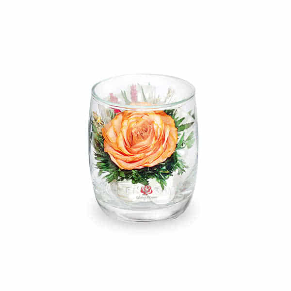 Оранжевая роза с белой лентой в стакане ivory