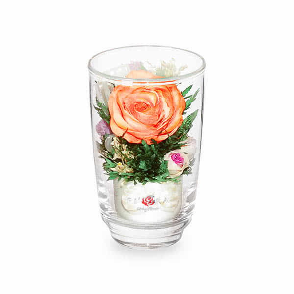 Оранжевая роза с белой лентой в высоком стакане haiku