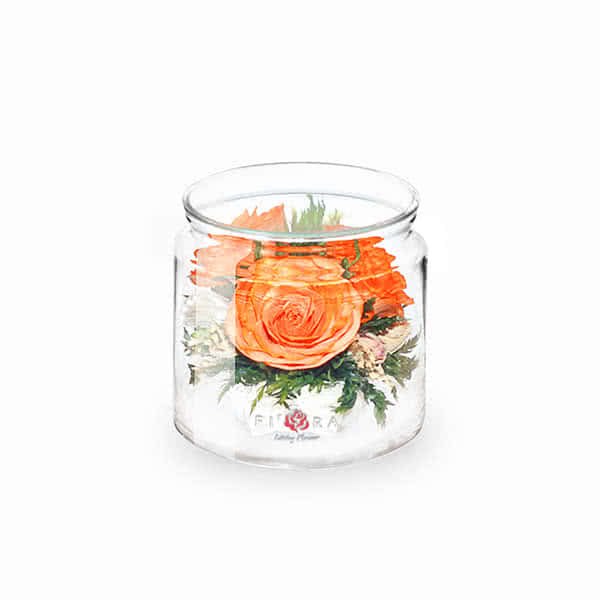 Оранжевая роза в низком цилиндре с дугой