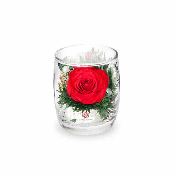 Красная роза с белой лентой в стакане ivory