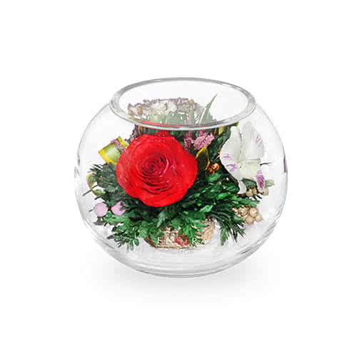 Красные розы и орхидеи с диантусами в малой круглой вазе