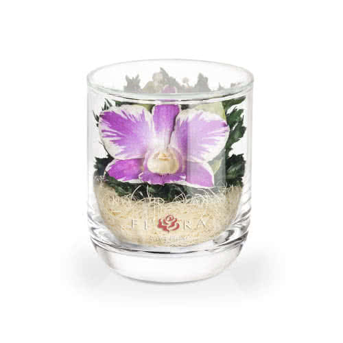 Орхидея в стакане s-top