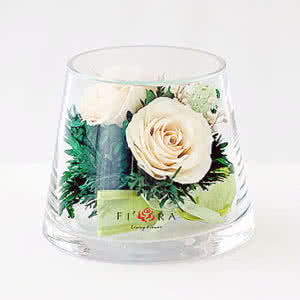 Цветы в стекле (вакууме) - Айвори розы в низком конусообразном цилиндре - 40788