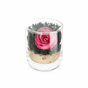 Розовая роза в стакане s-top