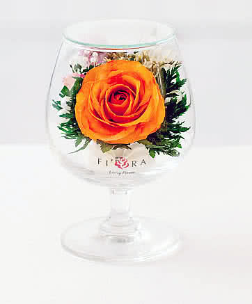 Цветы в стекле (вакууме) - Оранжевая роза с белой лентой в стакане brandy - 46858