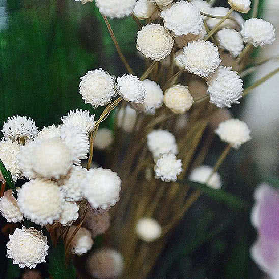 Цветы в стекле (вакууме) - Розовато-белые и фиолетовые орхидеи с айвори розами в малой каплевидной вазе - 42447