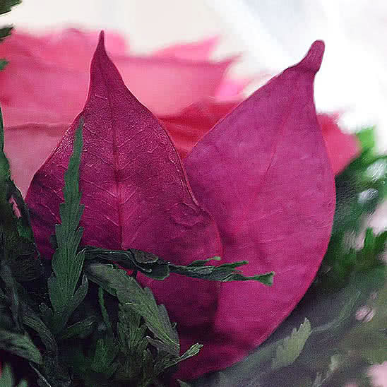 Цветы в стекле (вакууме) - Ярко-розовые и светло-розовые розы в большой круглой вазе - 48593