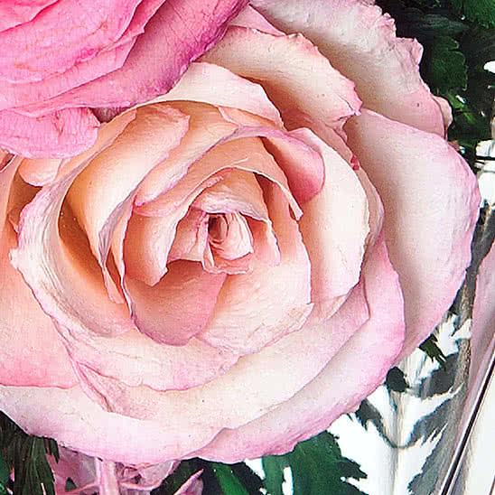 Цветы в стекле (вакууме) - Ярко-розовые и светло-розовые розы в изогнутой вазе - 48524