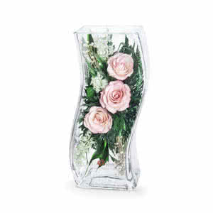 Светло-розовые розы в изогнутой вазе
