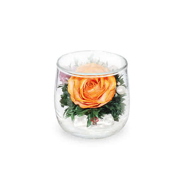 Оранжевая роза в стакане lyra