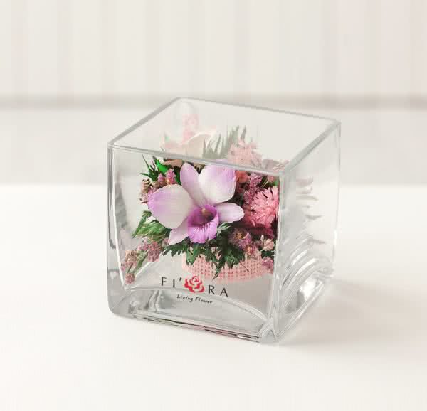 Орхидеи в малой кубической вазе