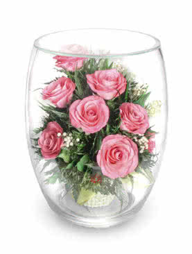 Розовые розы в большом бутоне тюльпана