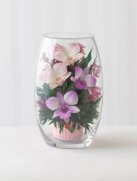 Fiora, Сиренево-белые и розоватые орхидеи в малой овальной вазе